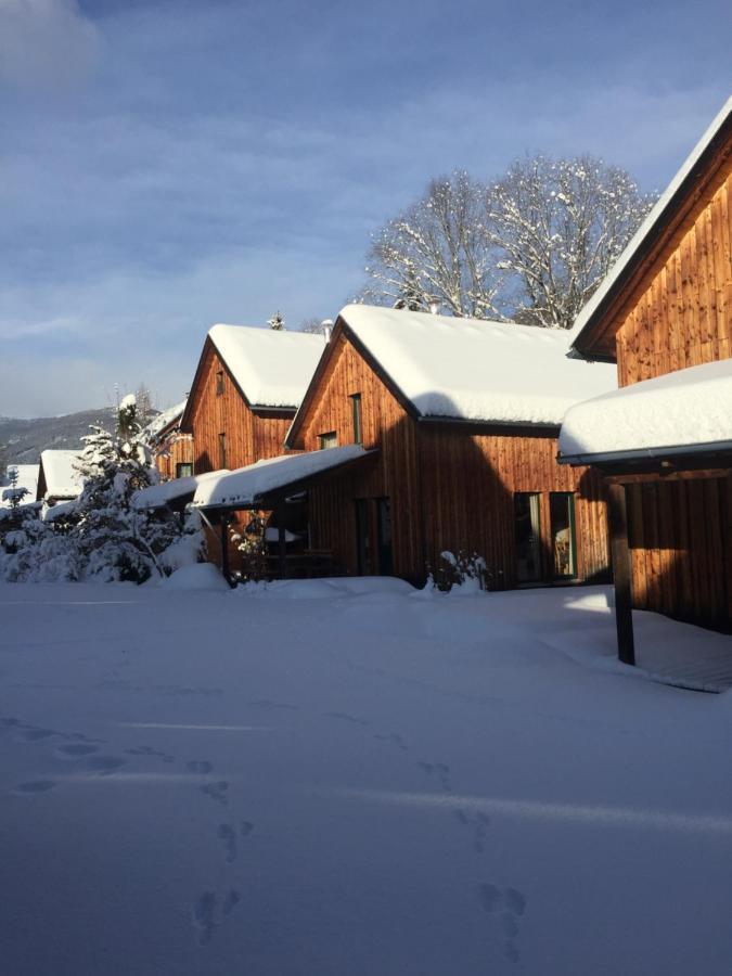 Alpenferienhaus Kreischberg St. Lorenzen ob Murau Exterior foto