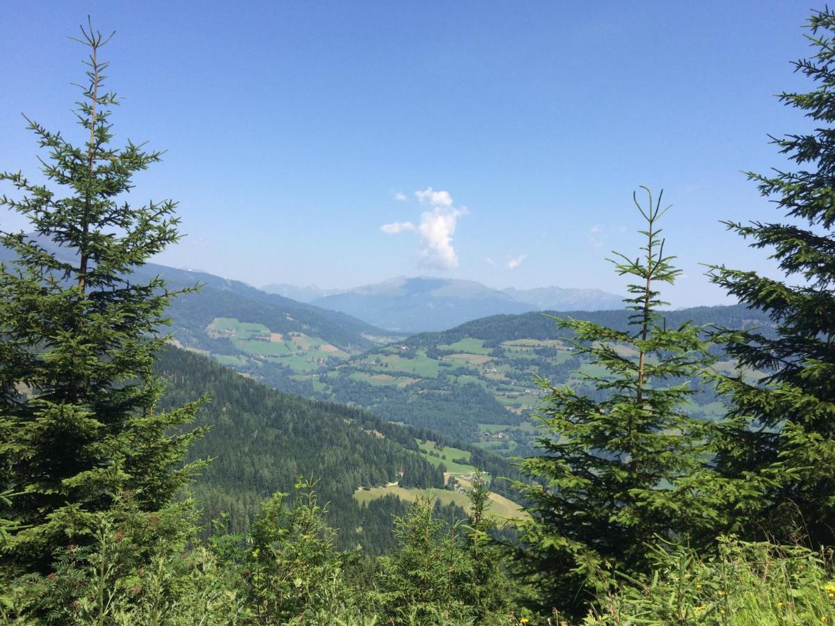 Alpenferienhaus Kreischberg St. Lorenzen ob Murau Exterior foto
